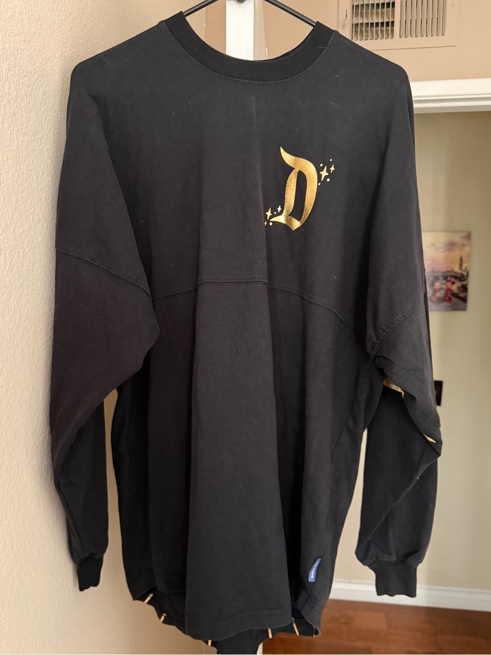 Disneyland castle spirit jersey